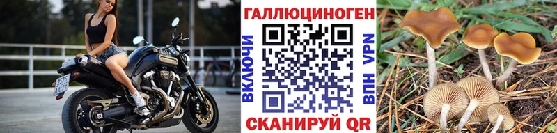 Галлюциногенные грибы прущие грибы Правдинск